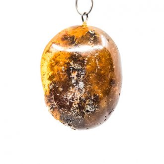 Jewelry amber pendant form Baltic sea