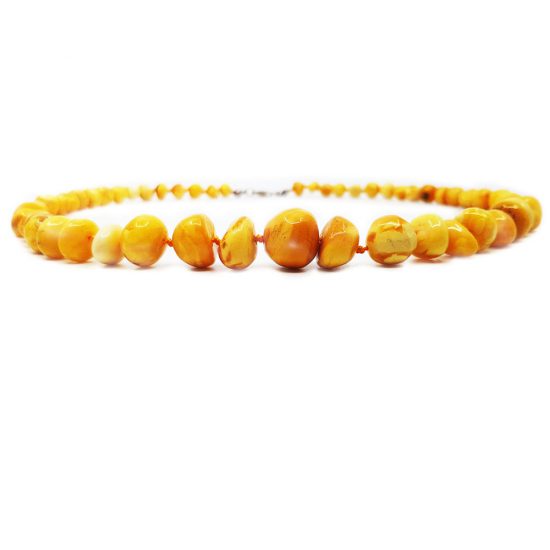 Jewelry amber necklace form Baltic sea